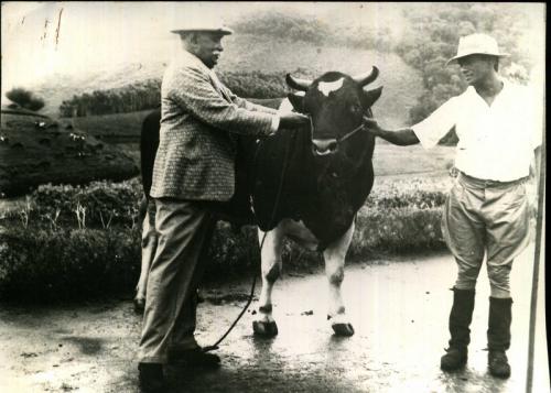 Bopathalawa Farm-2016